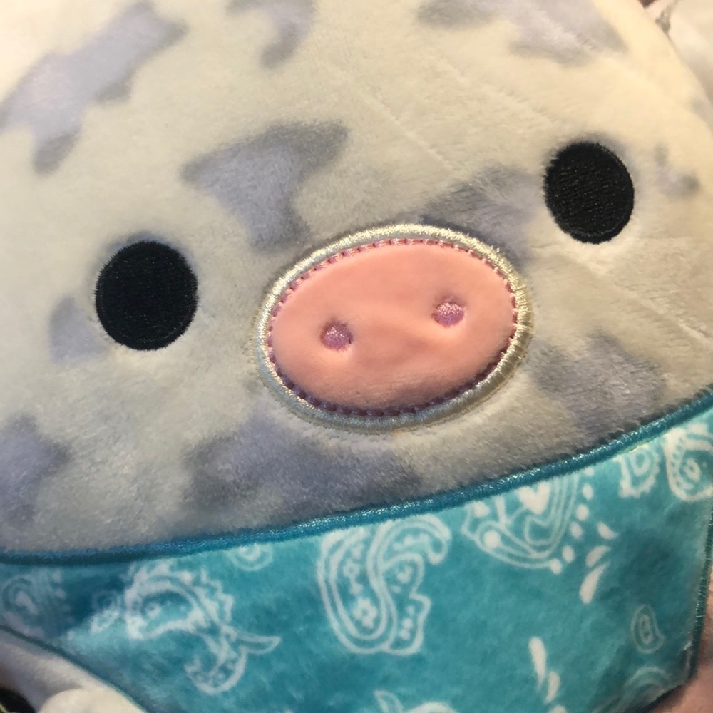 Brand new with tags Rosie the squishmallow